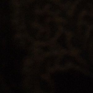 Meet your Posher, Vince